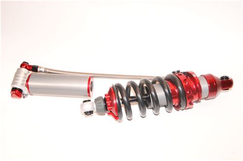 4-way Race - Image 2