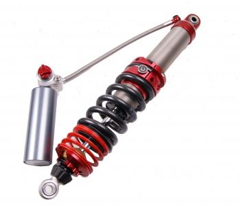 4-way Race - Image 2