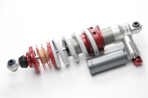 4-way Race - Image 2