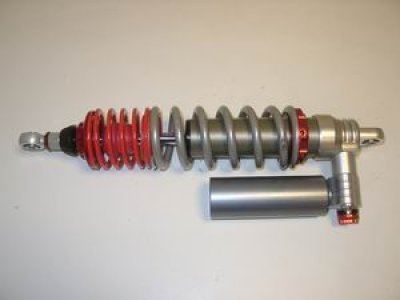 4-way Race - Image 2