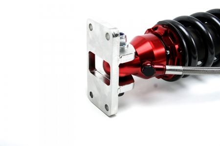 4-way Race - Image 3