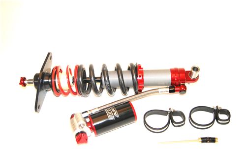 4-way Race - Image 2