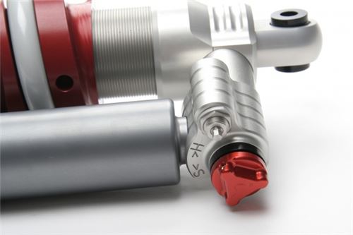 4-way Race - Image 3