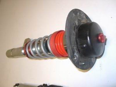 RSA Race - Image 4