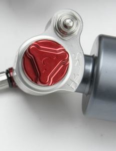 4-way Race - Image 4