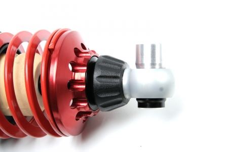 4-way Race - Image 4