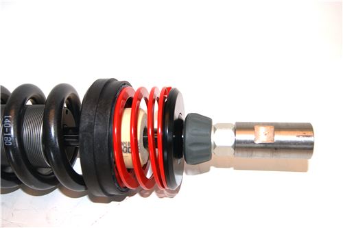 4-way Race - Image 5