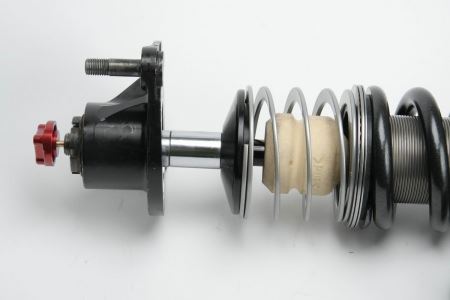 4-way Race - Image 6