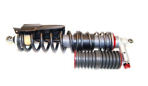 4-way Race - Image 6