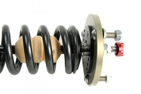 4-way Race - Image 6