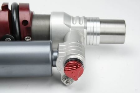 4-way Race - Image 7