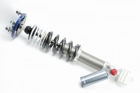 4-way Race - Image 8